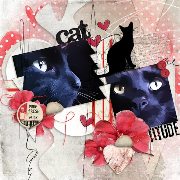 Cattitude