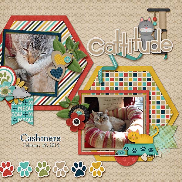 Cattitude