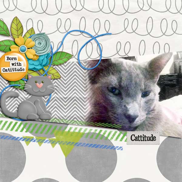 Cattitude