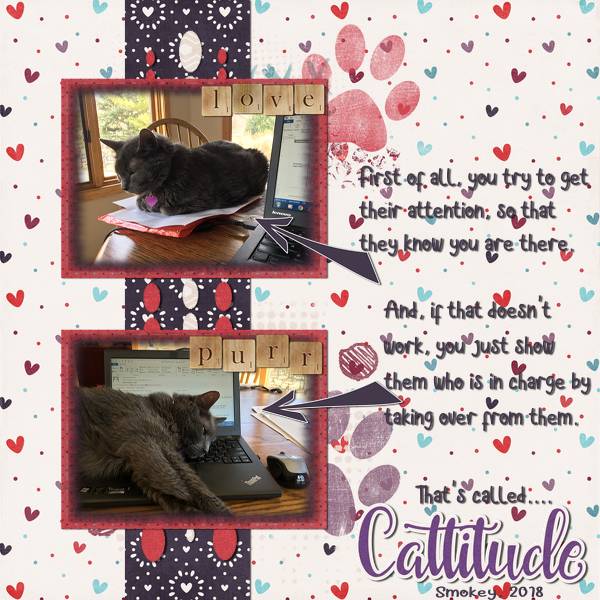 Cattitude
