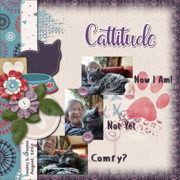 Cattitude