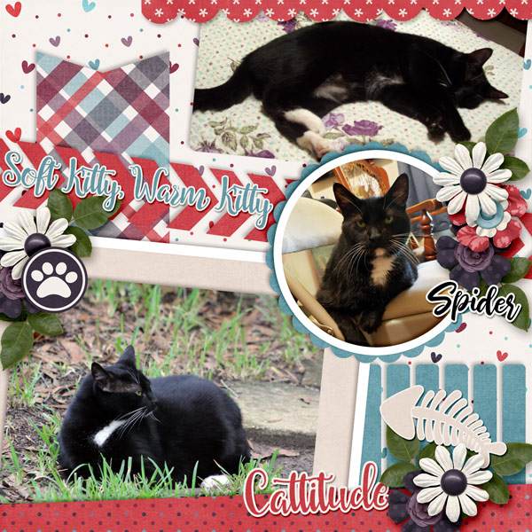 Cattitude