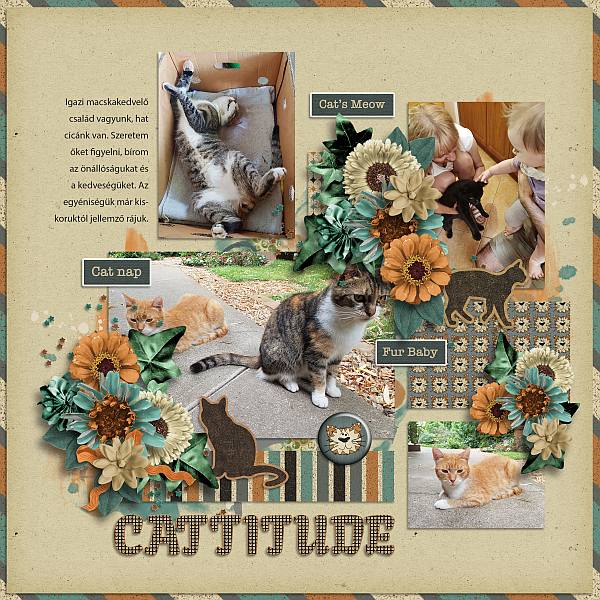 Cattitude
