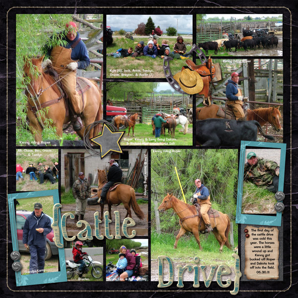 Cattle Drive 2011