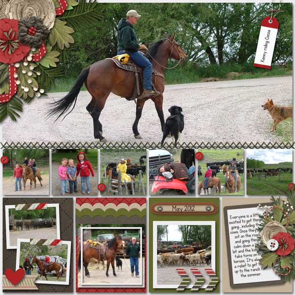 Cattle Drive 2012 2