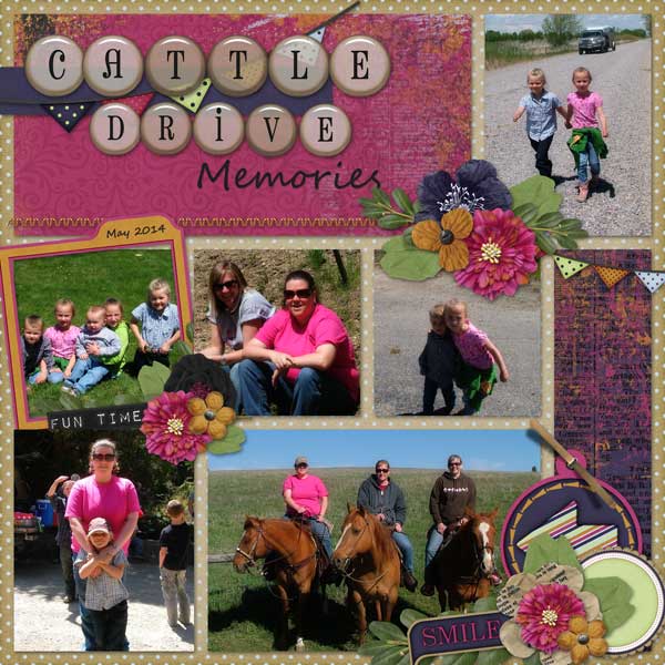 Cattle Drive Memories 2014
