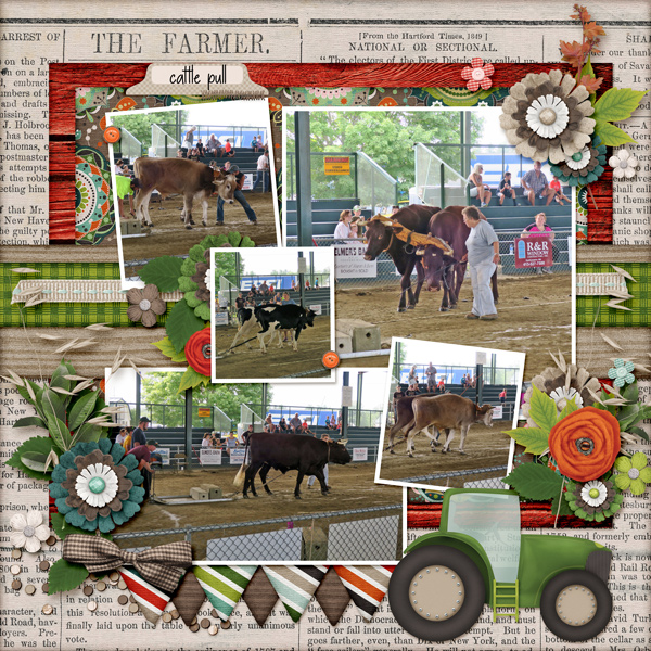 Cattle pull