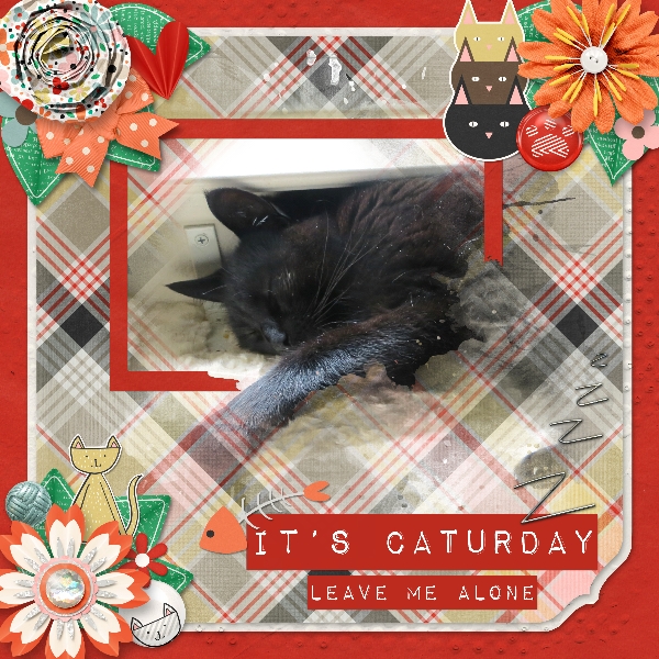 Caturday