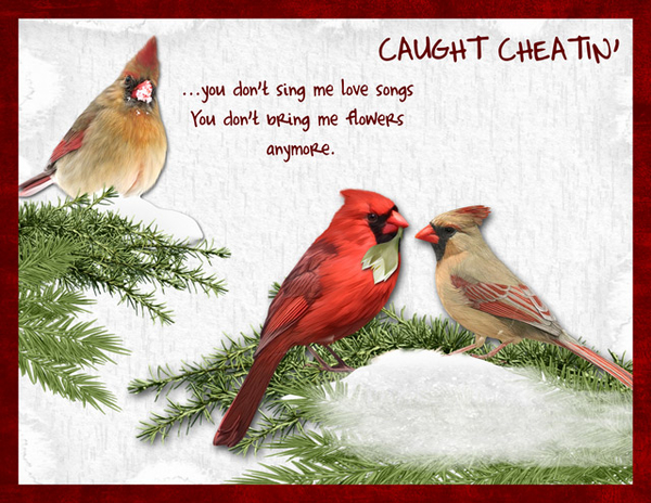 Caught Cheatin'