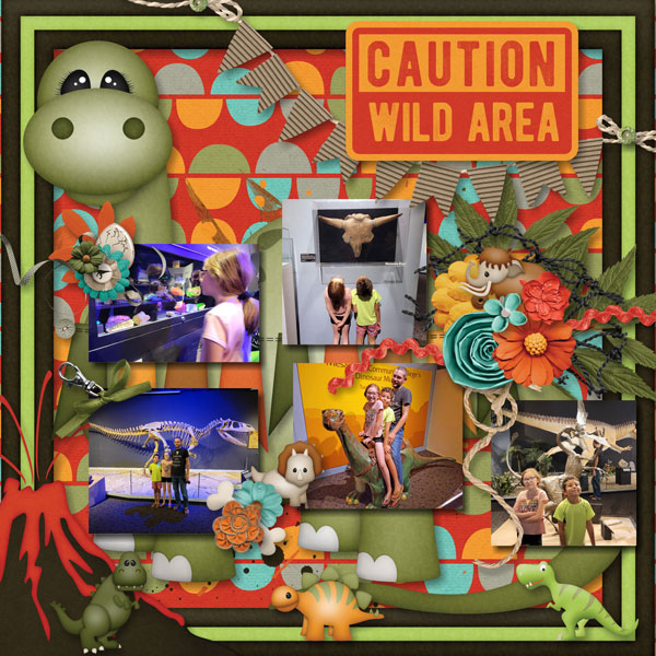 Caution Wild Area