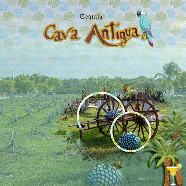 Cava Antigua