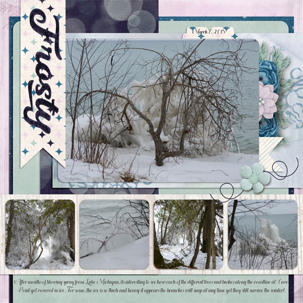 Cave Point Ice Trees