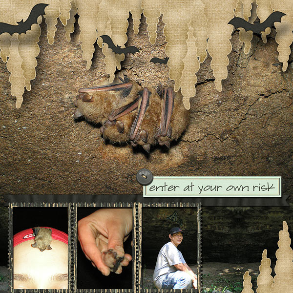 Caves-Spotlight Designer Challenge