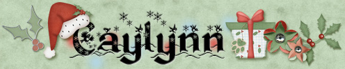 Caylynn December 2016 Signature