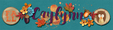 Caylynn September 2017 Signature