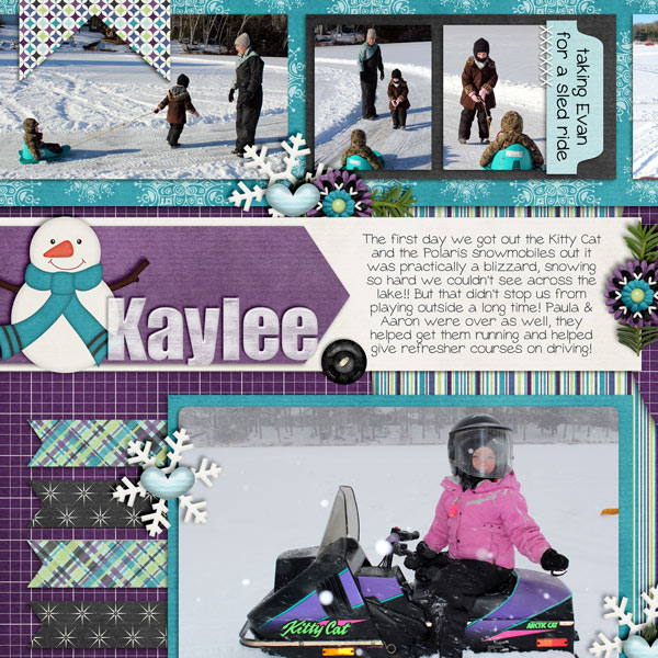 CC_FrostedWindowPanes1