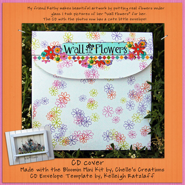 CD Envelope