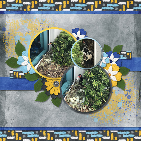 Celebrate 2018: June by Heather Z Scraps