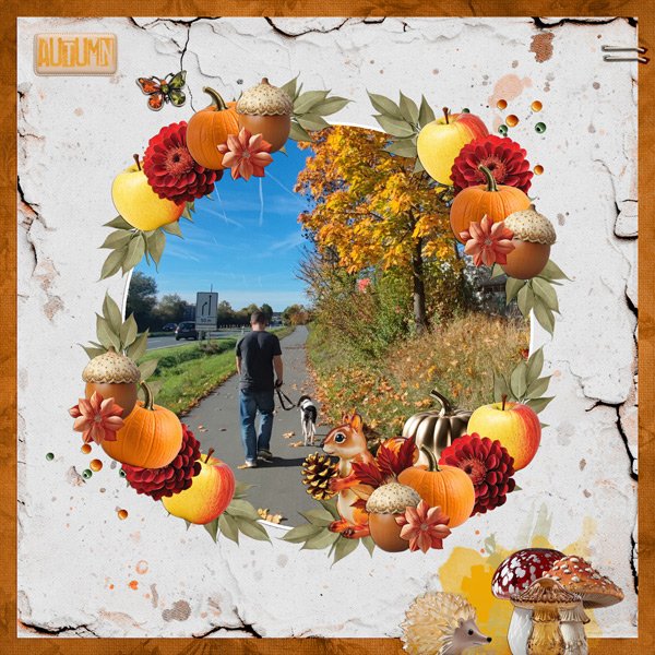 celebrate autumn