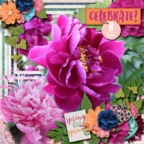 celebrate beauty