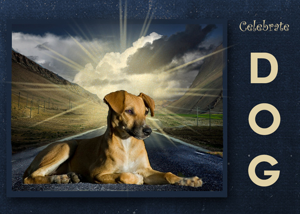 Celebrate DOG