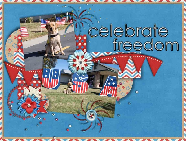 Celebrate Freedom