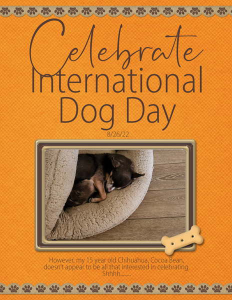 Celebrate International Dog Day