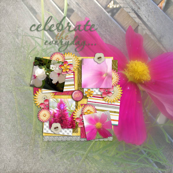 Celebrate Life Everyday