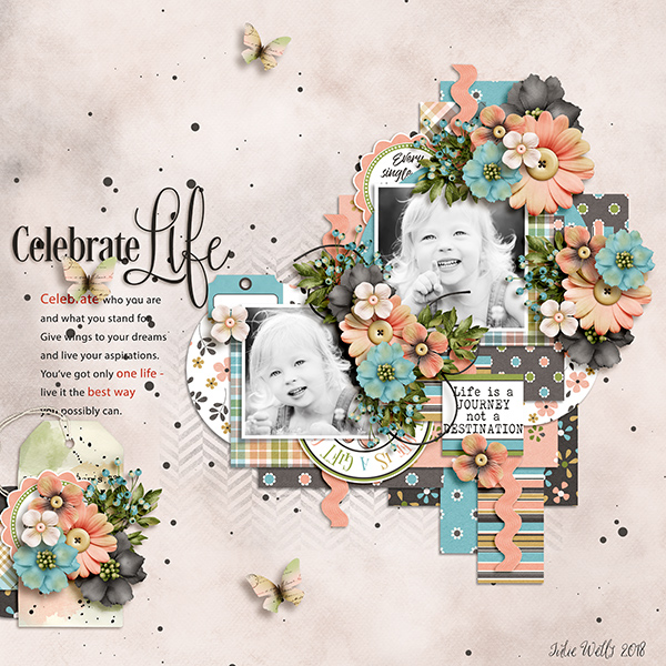 celebrate life