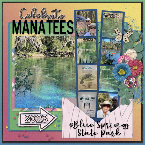 Celebrate Manatees