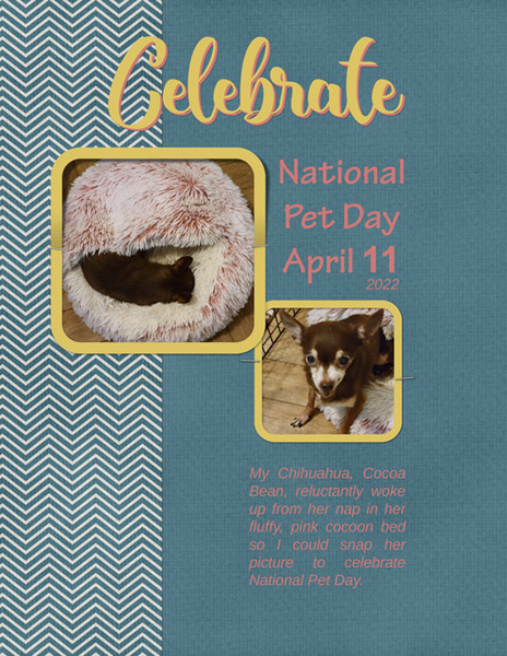 Celebrate National Pet Day
