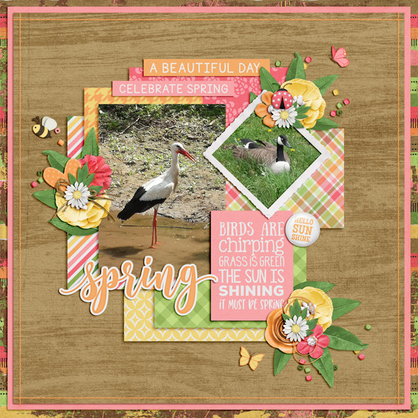 celebrate spring beauties