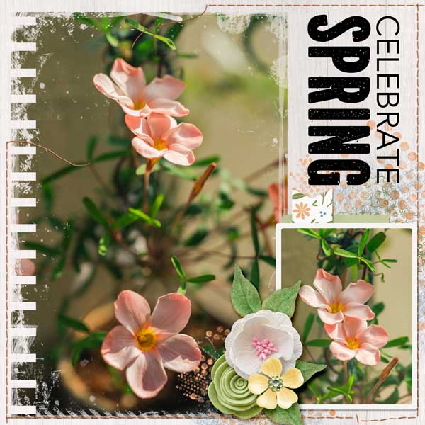 Celebrate Spring