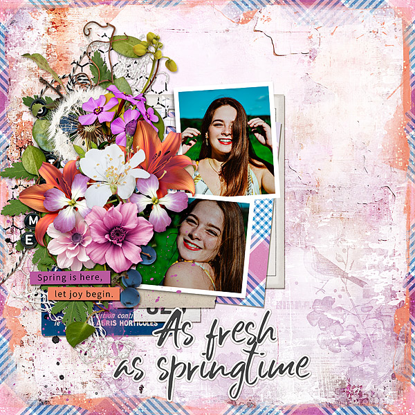 Celebrate Spring