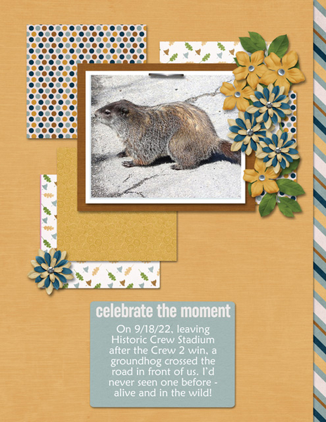 Celebrate the Moment