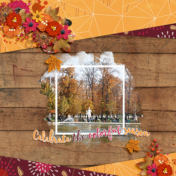 celebrate the season