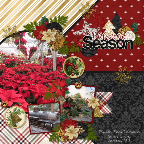 Celebrate the Season