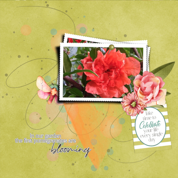 celebrateyou-small