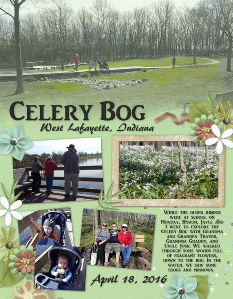 Celery Bog