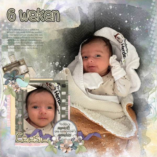 Celeste 6 weeks old