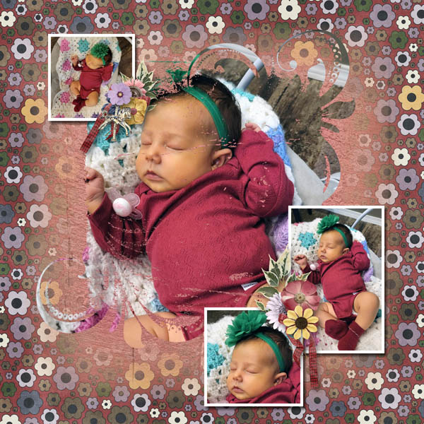 Celeste Halloween Beet