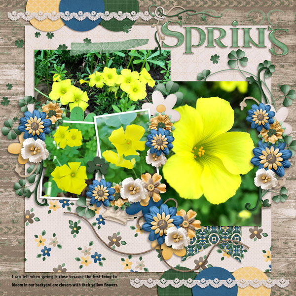 celtic spring