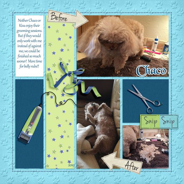 Chaco Grooming - pocket scrap challenge