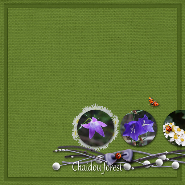 Chaidou