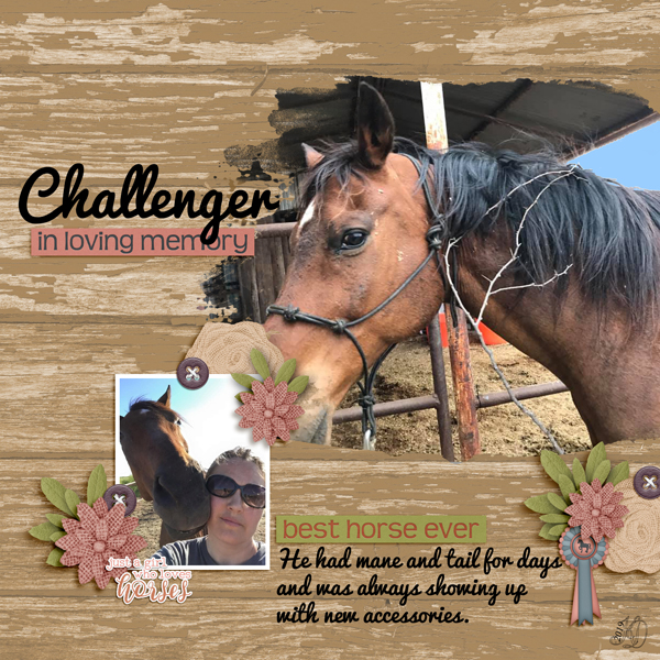 Challenger