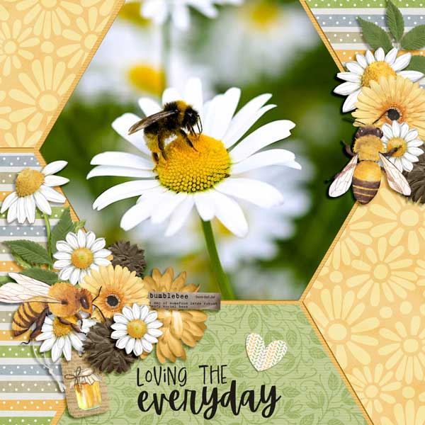 Chamomile + Honey