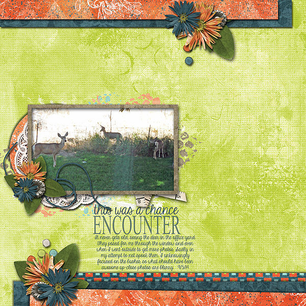 Chance Encounter