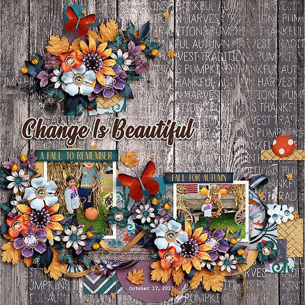 Change Is Beautiful