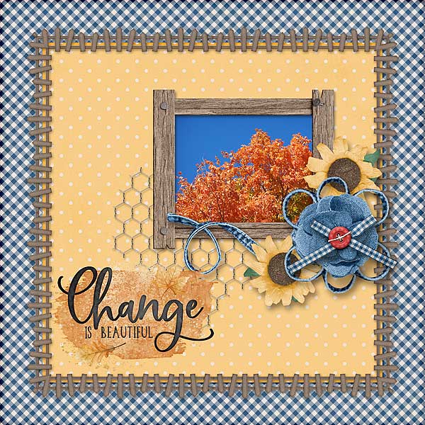 Change Is Beautiful
