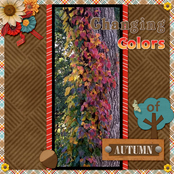 Changing Colors